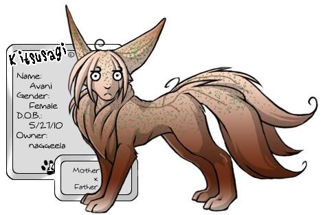 User Image